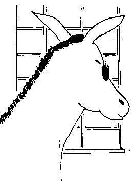 donkey